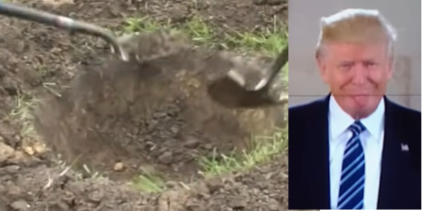 560_trump digging.jpg
